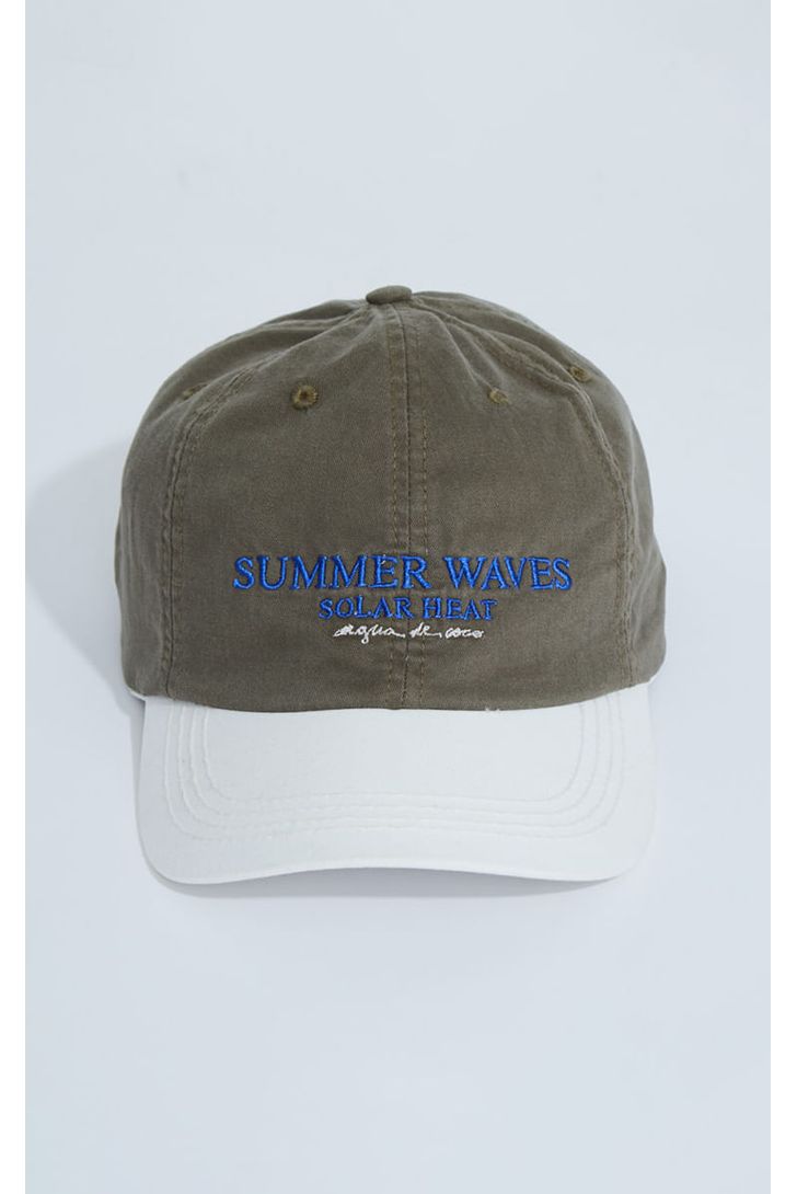 bone-aba-media-folhagem-coqueiro-137074_1