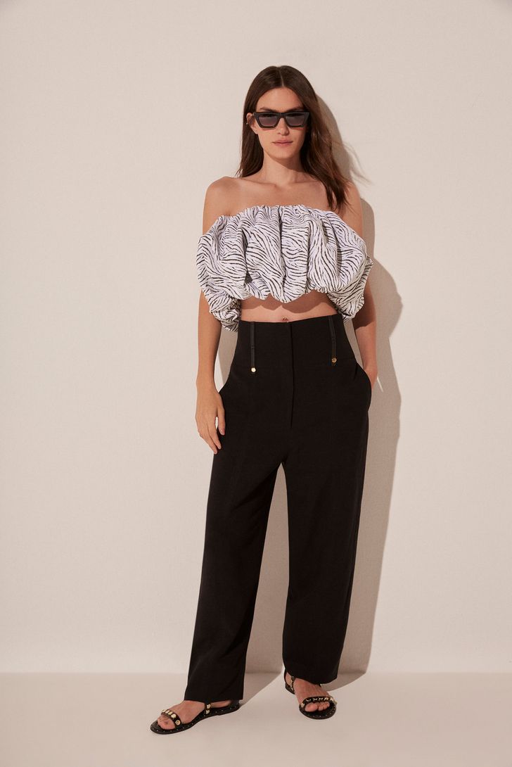 top-cropped-zebra-pb-138194_4