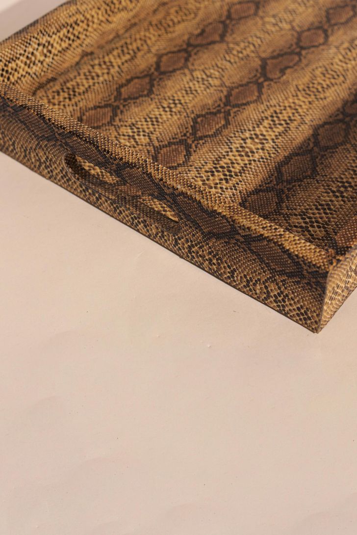 bandeja-cobra-g-66398_2