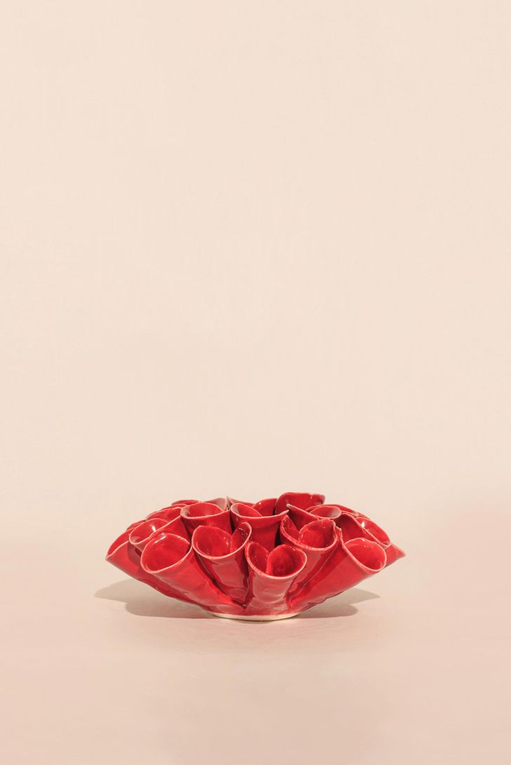 castical-coral-red-97187_1