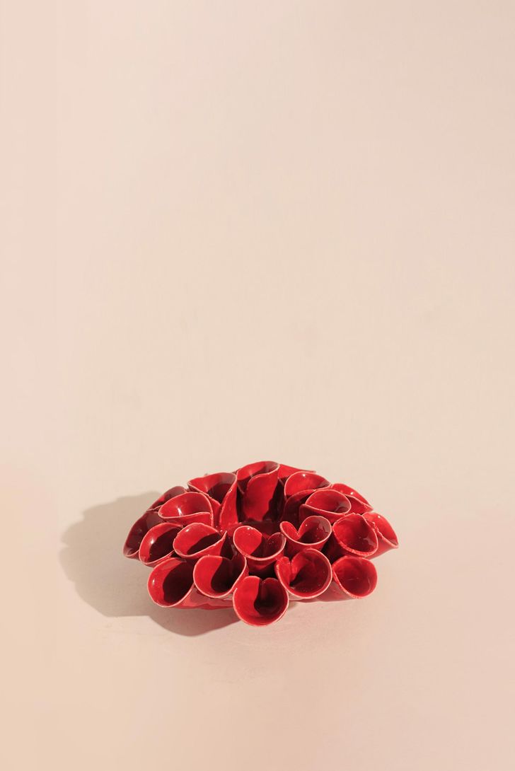 castical-coral-red-97187_2