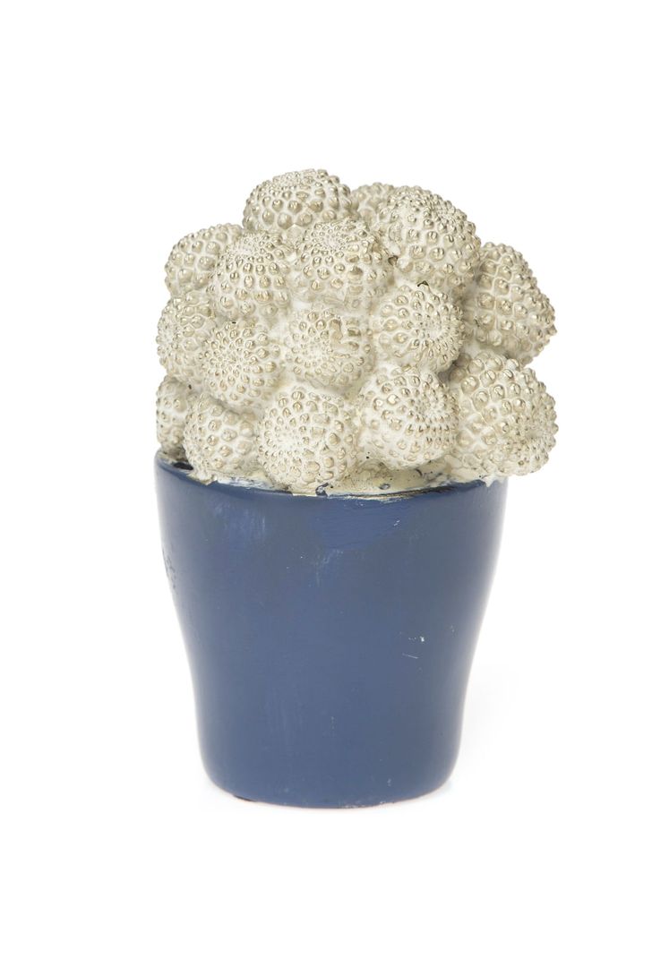 vaso-decorativo-cine-77648_1