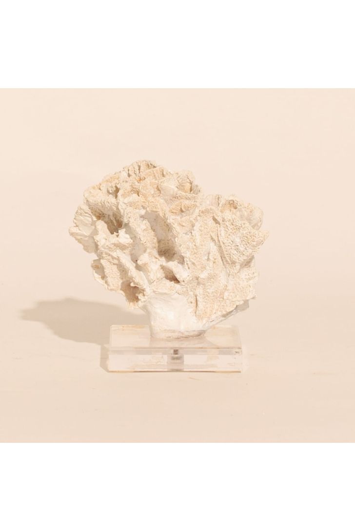 coral-bardi-off-white-96753_1