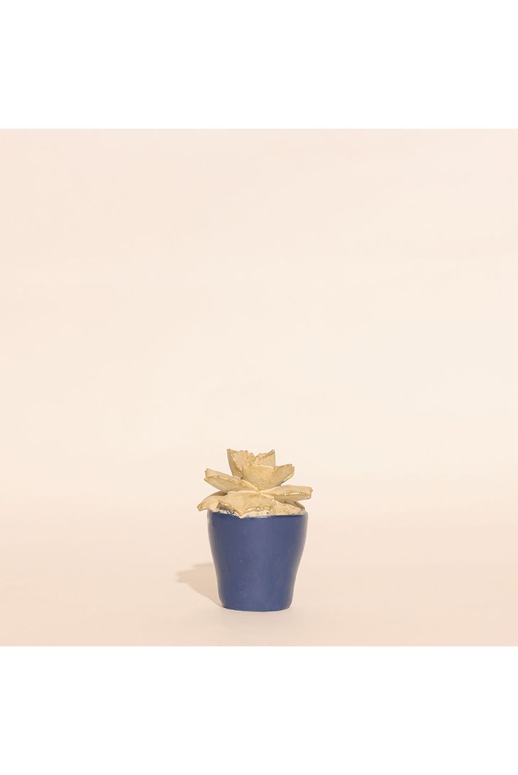 vaso-decorativo-roseira-77580_2