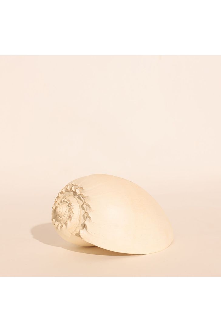 concha-decorativa-g-77520_1