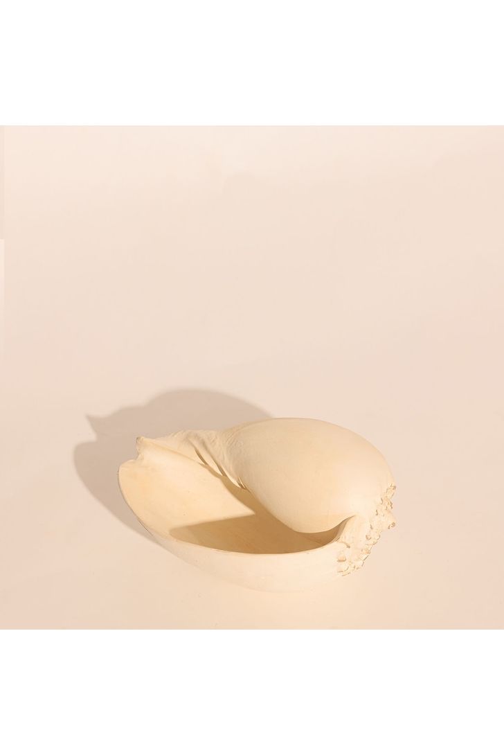 concha-decorativa-g-77520_2