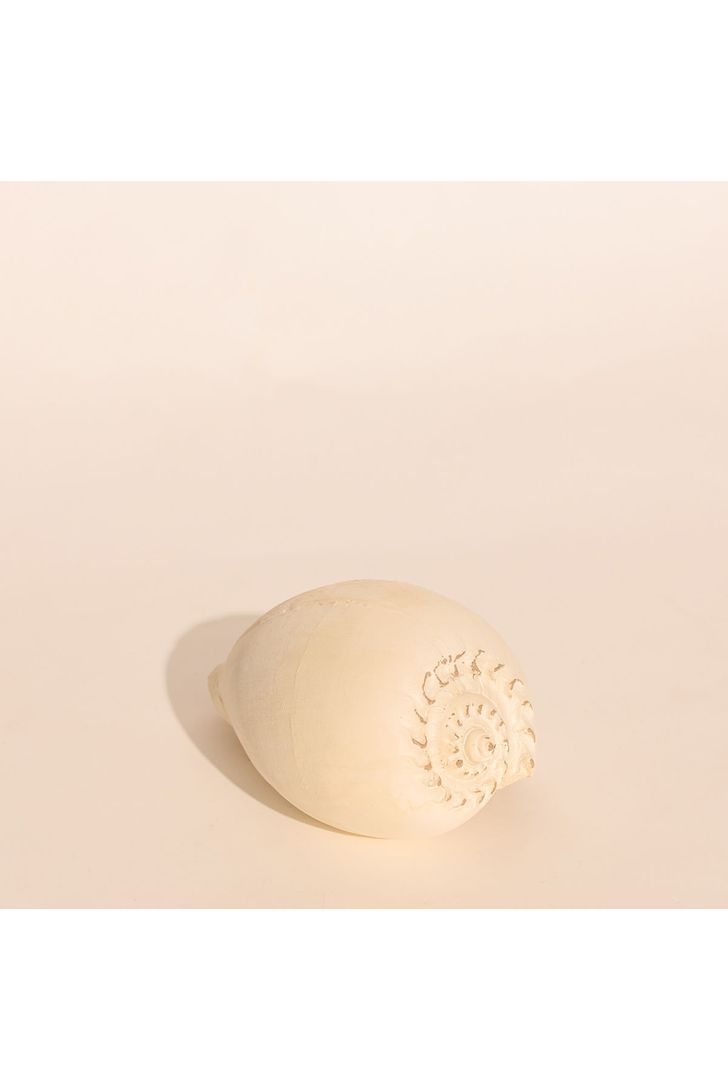concha-decorativa-g-77520_3