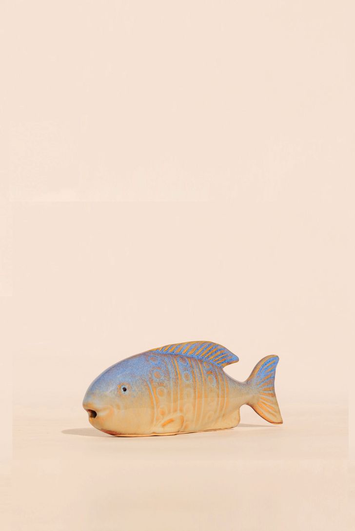 peixe-rios-97173_1