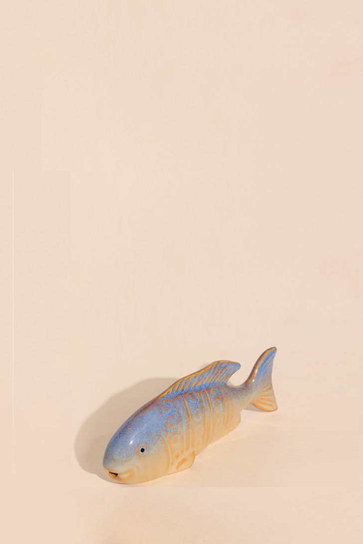 peixe-rios-97173_2