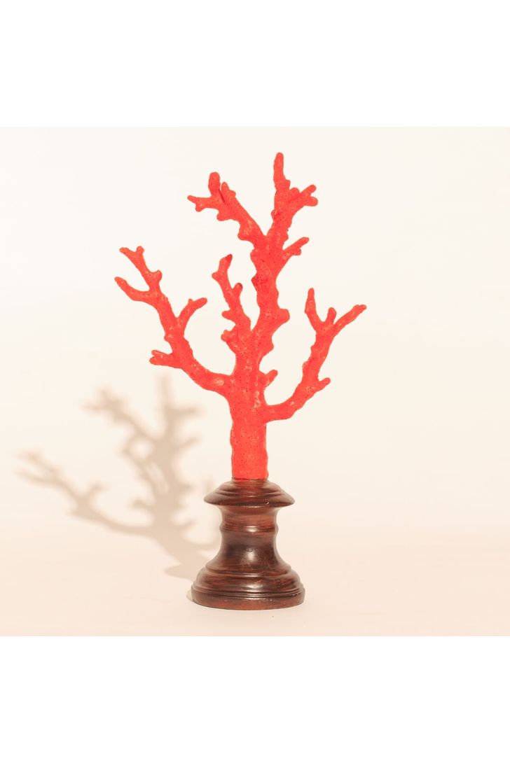 coral-bardi-red-m-66935_1