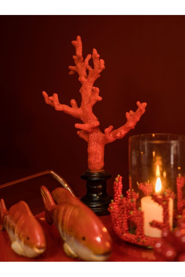 coral-bardi-red-m-66935_2