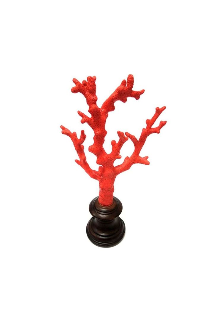 coral-bardi-red-m-66935_3