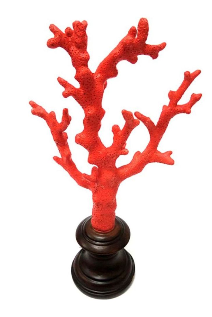 coral-bardi-red-m-66935_4