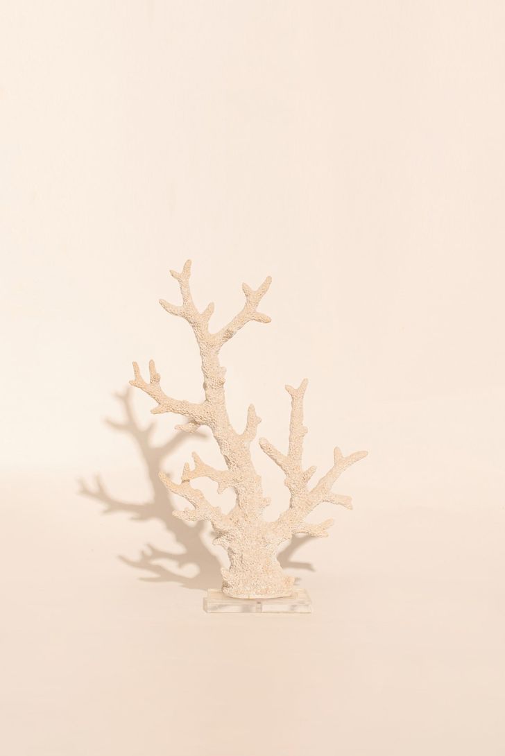 coral-bardi-white-g-96745_1