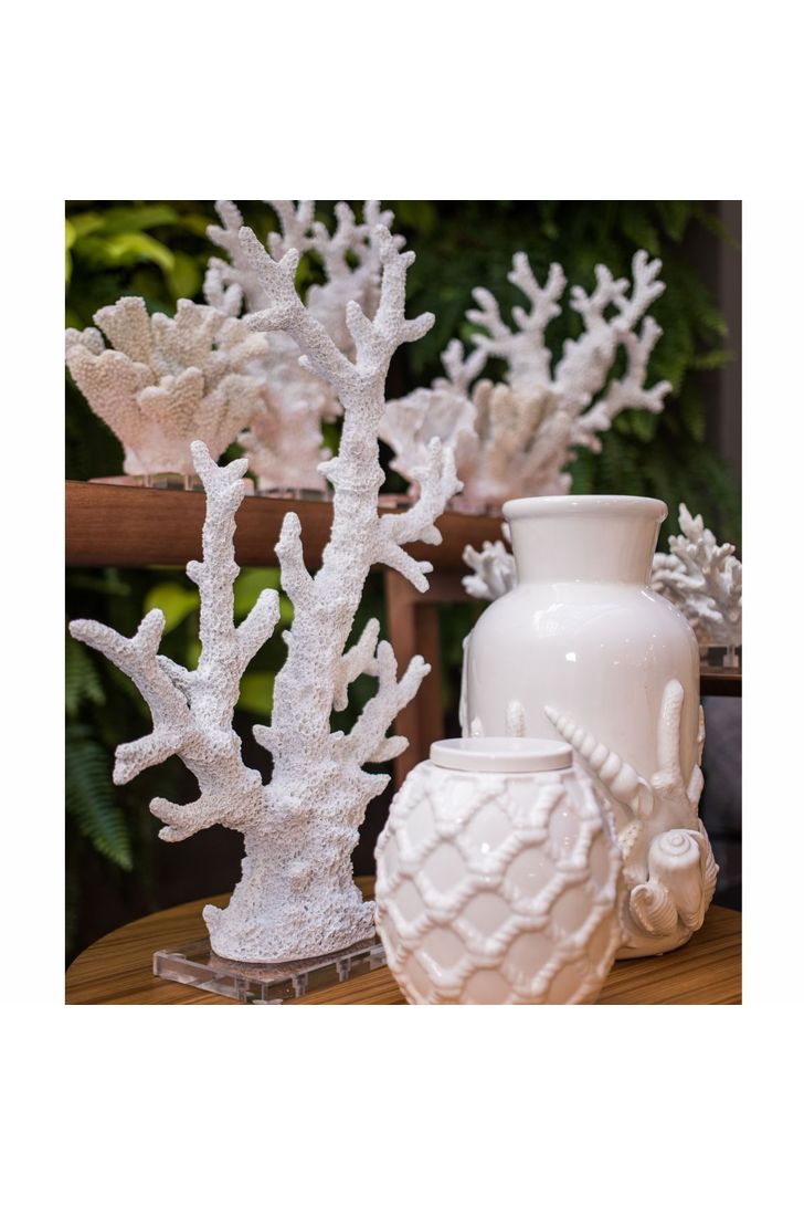 coral-bardi-white-g-96745_2