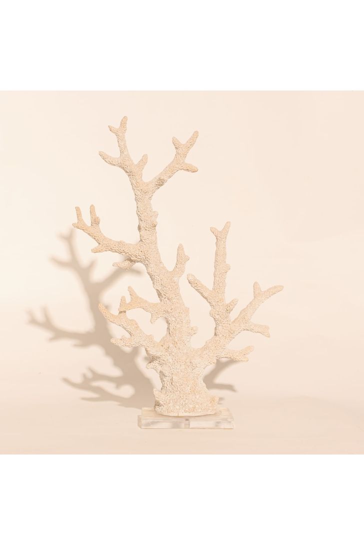 coral-bardi-white-g-96745_3