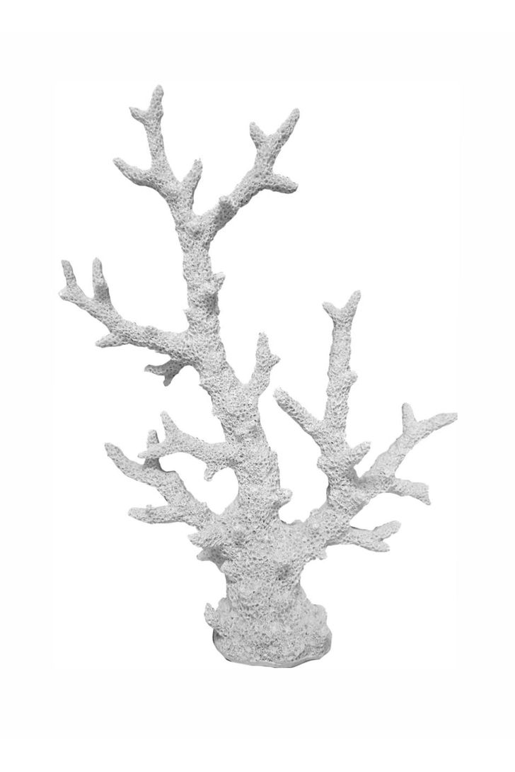 coral-bardi-white-g-96745_4