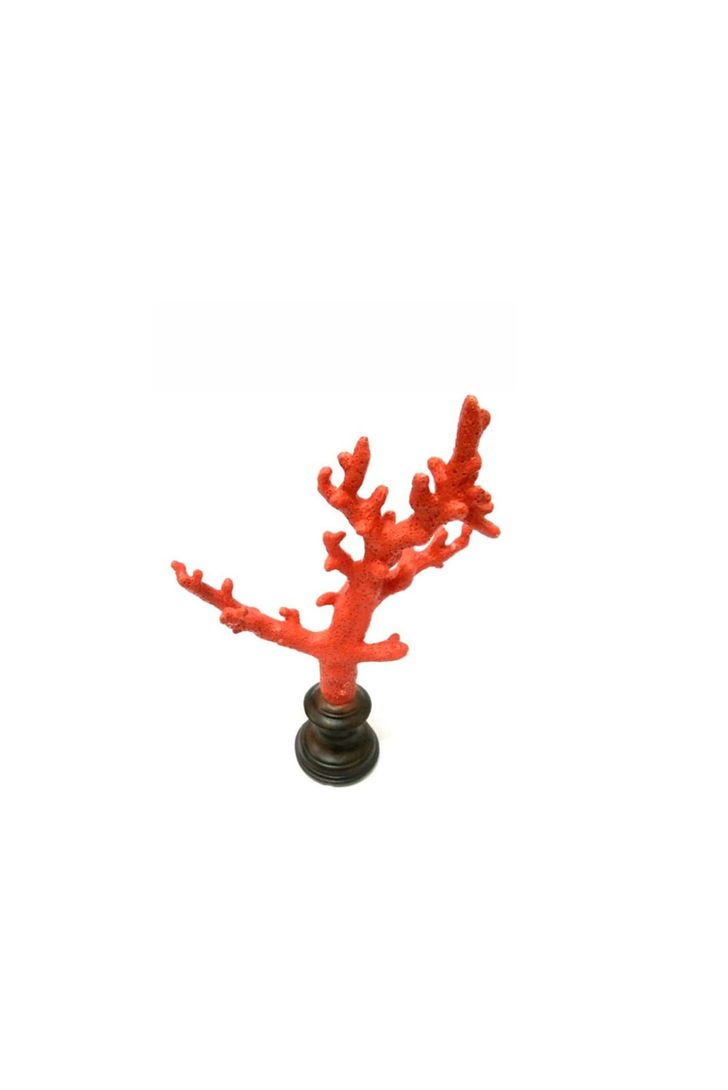 coral-bardi-red-p-66932_2