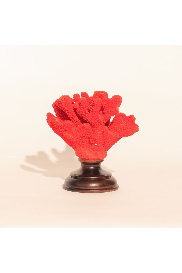 castical-coral-atlantis-red-96757_1