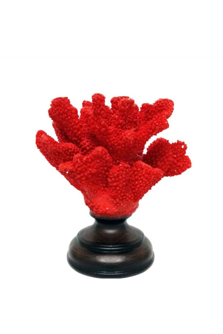 castical-coral-atlantis-red-96757_2