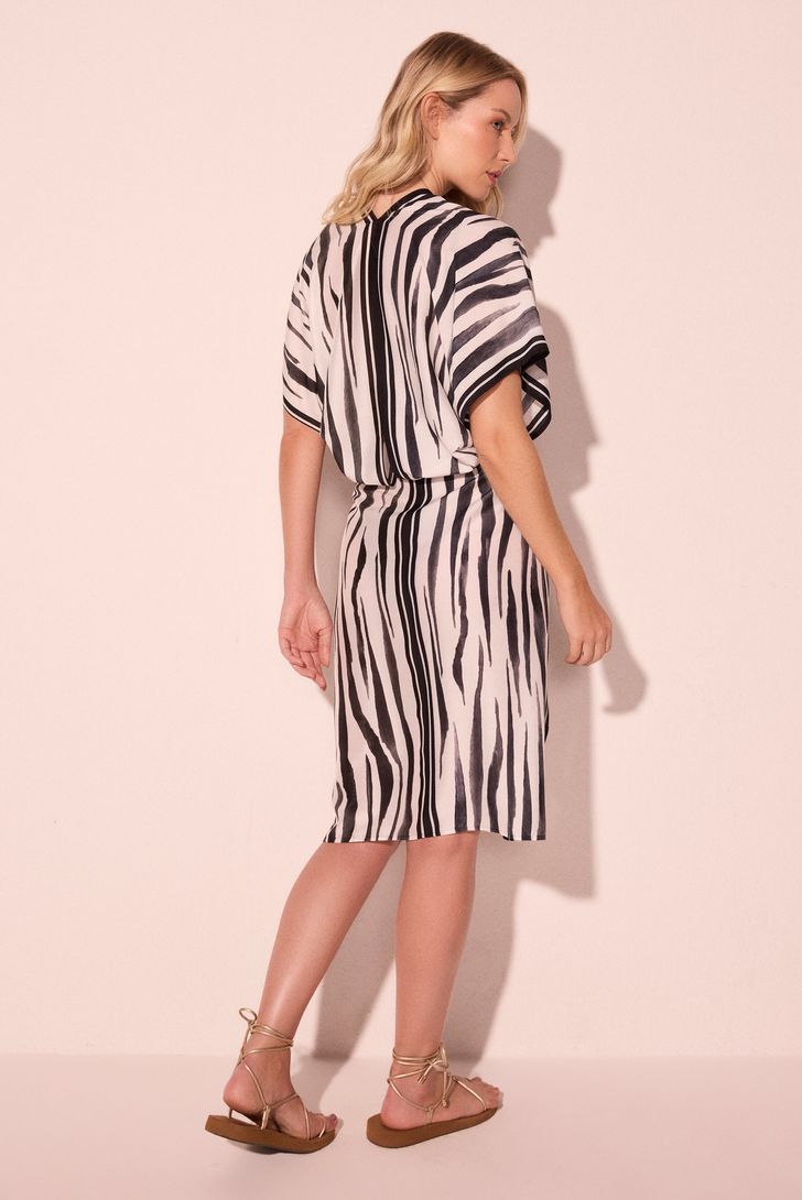 capa-midi-zebras-152889_2