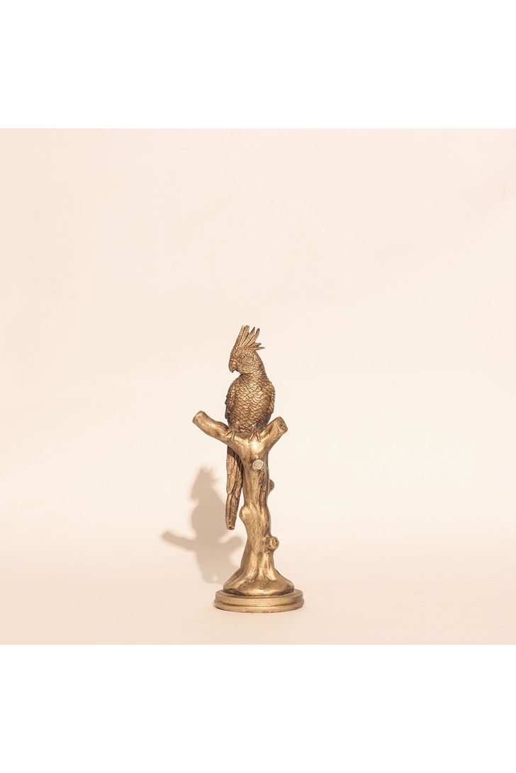 COD0062R-125-1